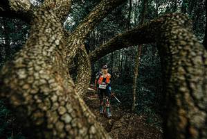 BIB: 
                            <button type="button" onclick="openModal(25701954)" class="btn btn-primary btn-sm float-right btn-popup" data-toggle="modal" data-target=".modal-high-quality">
                        <i class="fas fa-shopping-cart"></i> Add to Cart
                    </button>
                                            <button type="button" onclick="isThisMe(25701954, true)" class="btn btn-success btn-sm float-right btn-popup btn-isme hidden" data-toggle="tooltip" data-placement="bottom" title="นี่คือรูปของคุณใช่ไหม คลิกที่นี่เพื่อเอาเข้าอัลบั้ม">
                        <i class="fas fa-plus"></i> Add to album
                    </button>
                    <button type="button" onclick="isThisMe(25701954, false)" class="btn btn-warning btn-sm float-right btn-popup btn-isnotme hidden">
                        <i class="fas fa-ban"></i> Remove from album
                    </button>